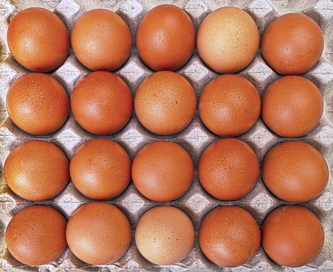 Store Brand Eggs